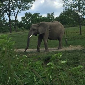 Meet your Posher, Isabella